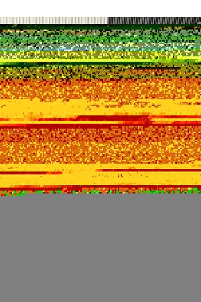 Unisex Düz Biskilet Yaka Oversize T-shirt - Gri