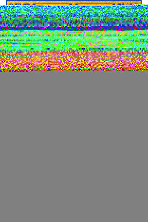 Unisex Bisiklet Yaka Baskılı Oversize T-Shirt - Beyaz