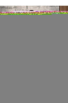 Erkek Yün Termal Ince Yarım Kol Fanila