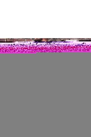 Engelli Çocuk Örümceği 6 8 Yaş Arası Için