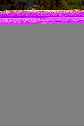 Sentetik Alçı-Amerikan Alçı 3 İnç