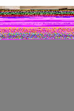 Emekleme Sehbası Yürüme Yardımcısı