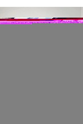 Refakatçi Tekerlekli Sanalye Engelli Tekerlekli Hasta Taşıma Transfer Sandalyesi