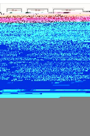 Erkek Çocuk UA Alien All Sports Kısa Kollu 1383597-011