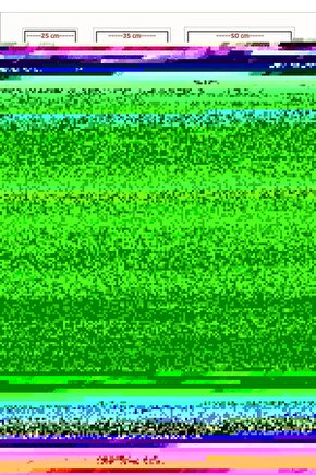 Doğal Gün Batımı Manzaralı Kanola Tarlası Tuval Tablo