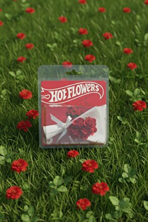 Hot Flowers Tasarım Koleksiyon Ürünü Kırmızı Gül Buketi Sevgiliye Hediye Minik Buket