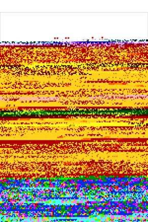 Shinycat Sos İçinde Tavuklu Pouch Yetişkin Konserve Kedi Maması 1 Adet 70 Gr