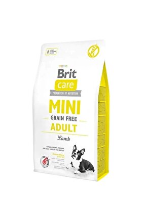 Adult Mini Tahılsız Kuzu Etli Yetişkin Köpek Maması 7 Kg