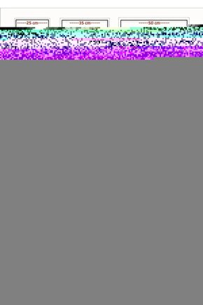 Hakkın Daveti Kuranı Kerim Meali Ve Tefsiri 5 Cilt