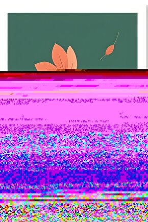 El Umm Şafii Fıkıh Külliyatı 5 Cilt Bir Arada