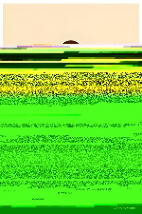 Fıkhın Şair Sultanı İmam Şafii - İslam Öncüleri İlmin Parlayan Güneşi İmam Şafii 2li Set