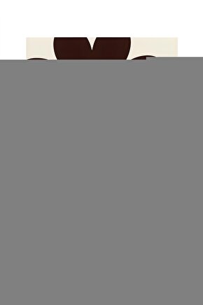 Fatih Sultan Mehmet  Çelik Yayınevi  Ebubekir Subaşı