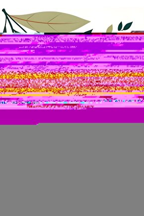 Gold Standlı 34 Cm Porselen Tencere Fırın Kabı Cam Kapaklı Isıya Dayanıklı Sunum Güveci Dikdörtgen