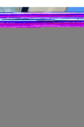 Kadın Uzun Dantel Kollu Yuvarlak Yakalı Sandy Bluz