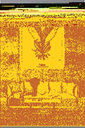 Matisse - Sanat - Soyut - Doğa - Yaşam ( Tekli Çerçevesiz ) Poster - Afiş - Tablo MKKM1488