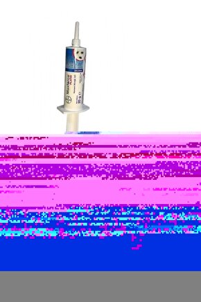 Maxforce Platin Hamamböceği Jeli 20 Gr 2 Adet