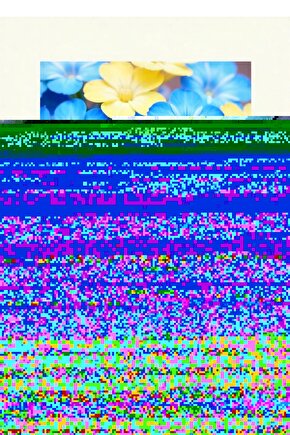 Pinocchio (1972) 001 AFİŞ - POSTER