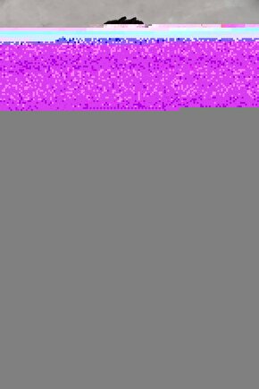 Güneş Çiçeği Digital Art ( ÇERÇEVESİZ - ÇERÇEVE YOKTUR ) ( ULTRA HD ) FOLYO AFİŞ - POSTER