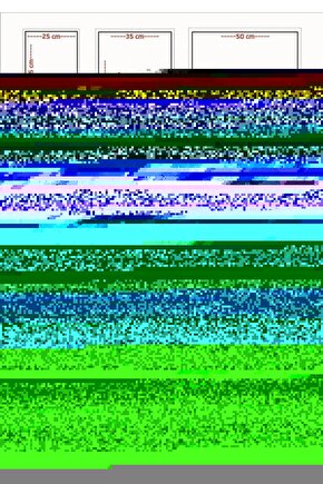 Matisse - Boho - Art Deco - Soyut - Doğa ( 3 lü Çerçevesiz ) Poster - Afiş - Tablo KR2C01166