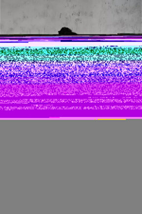 Pelikan Ailesi Digital Art ( ÇERÇEVESİZ - ÇERÇEVE YOKTUR ) ( ULTRA HD ) FOLYO AFİŞ - POSTER