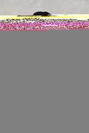 2 Adet Volkswagen Passat için Plaka Lambası