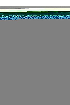 Renault Clio,Symbol için Ön Sol Cam Tamir Seti