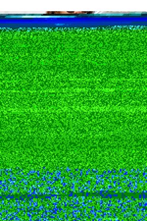 siyah kedi çiçekli otantik kadın ev dekorasyon tablo retro ahşap poster