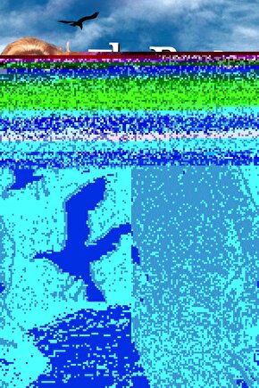 The Birds (1963) 1 AFİŞ - POSTER ( FOLYO ) - AFİŞ - POSTER-6605