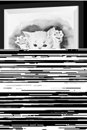 Kadın Uzun Kollu Leopar Detay weat Ve Yanı Leopar şerit Detay Pantolon Ikili Takım