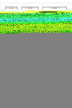 Erkek Lacost Çizgili Polo Yaka T-shirt