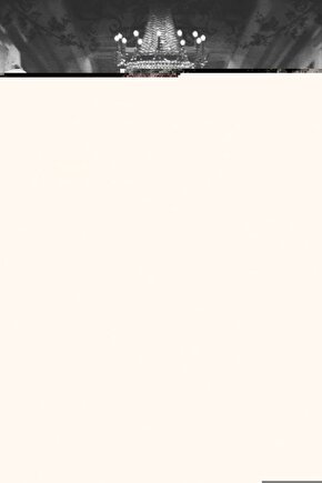 Active Şeker Ölçüm Çubuğu 50li