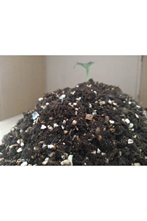 Major League (1989) ( FOLYO ) - AFİŞ - POSTER-4469