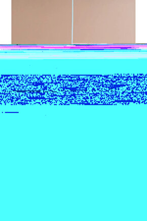 Seagull Beyaz Avize Yatak Odası, Mutfak, Oturma Odası Tasarım Tekli Sarkıt Avize (PLASTİK)