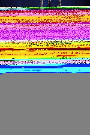 Asılabilir Tavuk Güvercin Folluk 2 Adet Yumurta Haznesiz