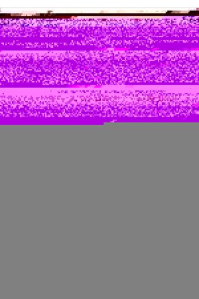 N Joy 2000 W Tost Makinesi Antrasit