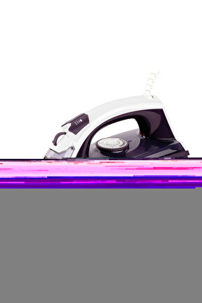 Spring Buharlı Ütü Mor