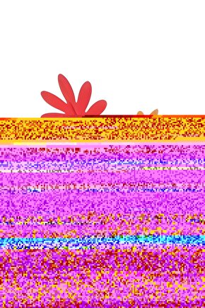 2 Adet Üst Üste Geçebilen Çok Amaçlı Düzenleyici Organizer Büyük Boy - Gri