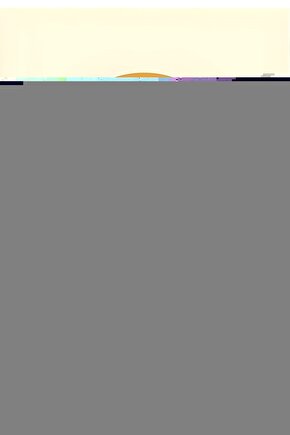 4 Adet - Ömür Boyu Paslanmaz Airfryer Kebap Şişi - 20 Cm Mangal Şiş