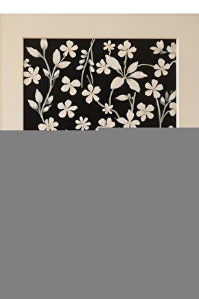 2 Adet Üst Üste Geçebilen Çok Amaçlı Düzenleyici Organizer Büyük Boy - Beyaz