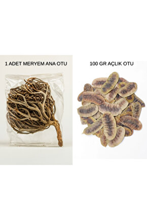 Meryem Ana Otu 1 Adet + Açlık Otu 100 Çayı gr | Doğal Detoks ve Sindirim Desteği