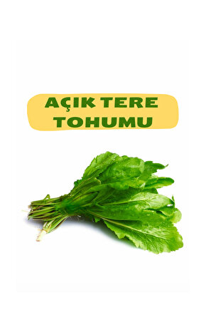 Tere Tohumu (AÇIK)50g