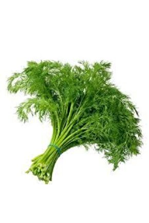 100 Adet Tohum Sebze Dere Otu Tohum Sürpriz Hediye Tohum Yeşil Dere Otu Ata Tohumlar