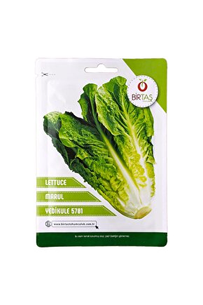 Marul -yedikule- 5701 Tohumu