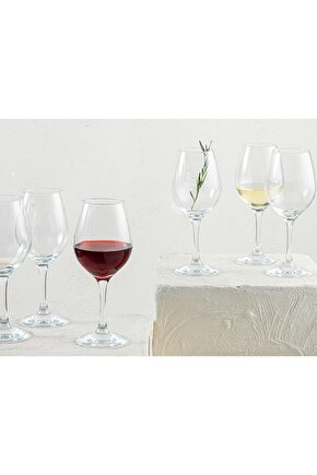 Paşabahçe Diaria Cam 6lı Kadeh 6x460 ml