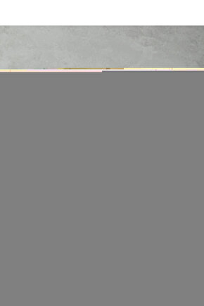 Matisse - Sanat - Soyut - Doğa - Ev - Yaşam ( 2 Li Çerçevesiz ) Poster - Afiş - Tablo NNHT137