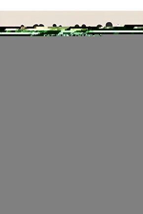 Resim Paleti Spatula Sünger Tampon Ponpon Fırça