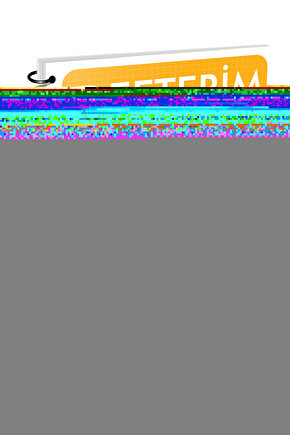 Arı Yayınları 6. Sınıf Türkçe Defterim GÜNCEL 2025 BASKI