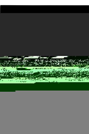 Arı Yayınları 2023-2024 8. Sınıf Lgs İnkılap Tarihi Atölyem