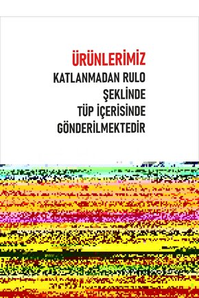 Pirinç Gümüş Renk Zirkon Taşlı Çiçek Model Kadın Küpe