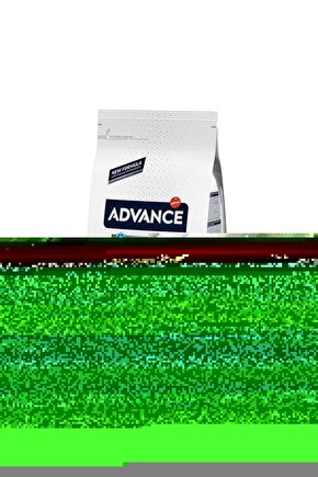 Matisse - Sanat - Soyut - Doğa - Yaşam ( Tekli Çerçevesiz ) Poster - Afiş - Tablo MKKM2673